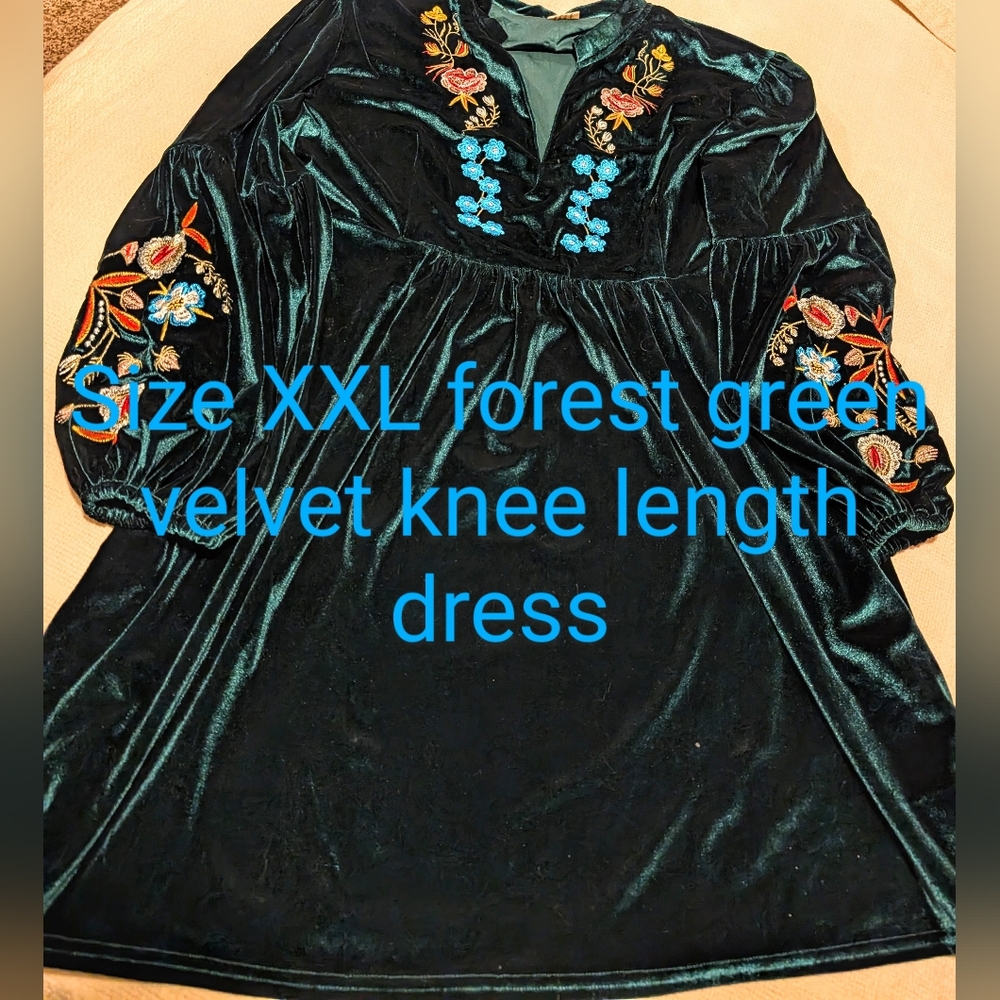 Deep green velvet dress with lovely embroidery